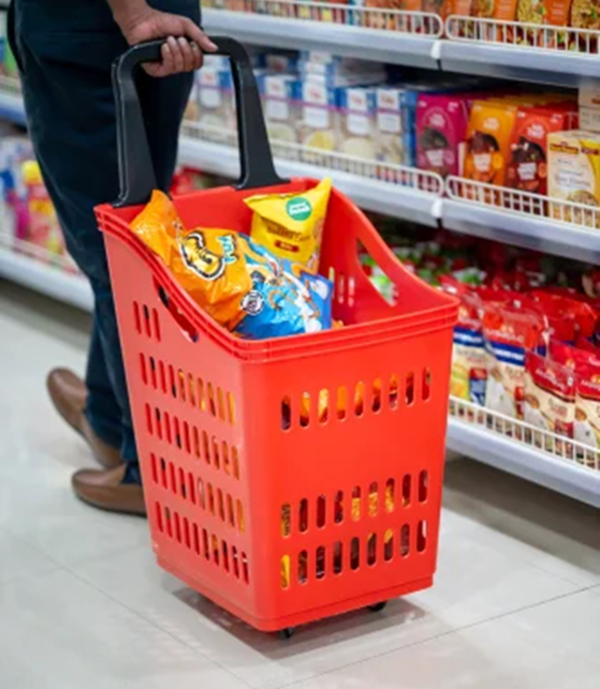 Plastic Trolley Vertical